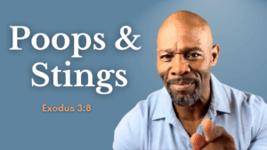 Poops & Stings
