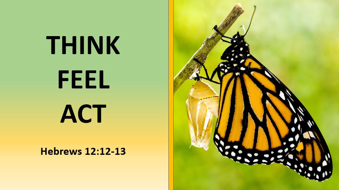 Think —  Feel — Act