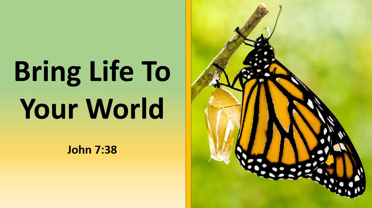 Bring Life To Your World