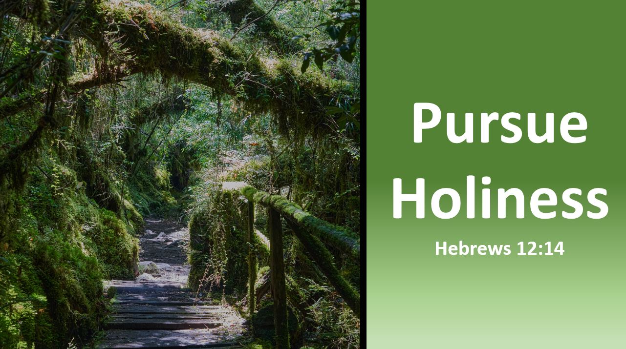 Pursue Holiness